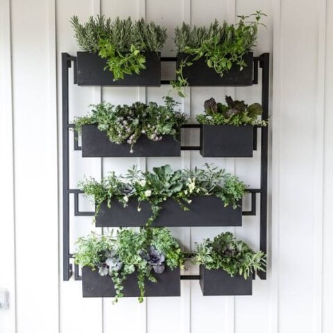 Image for Wall Planter Display