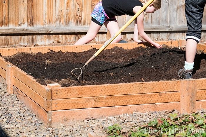 DIY raised garden bed filled with soil to be prepared to plant in.