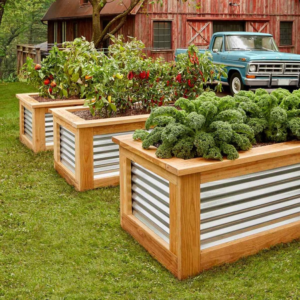 How To Build A Raised Garden Bed For Strawberries - mialodesigns