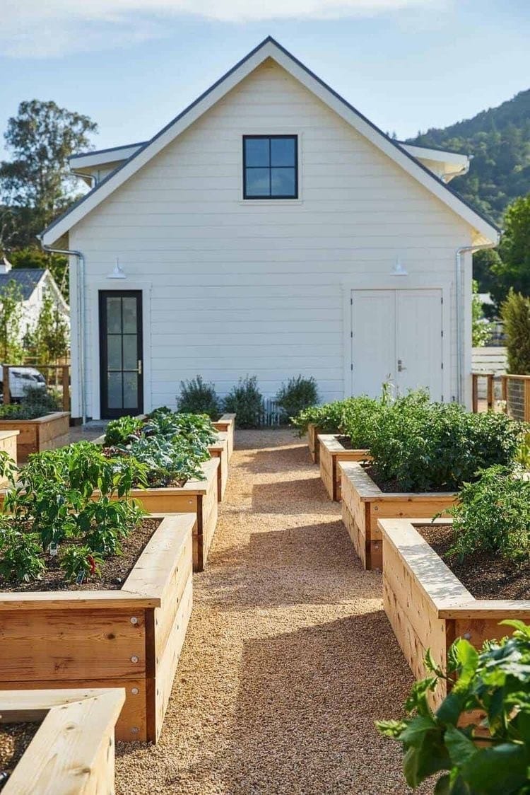 Rows of wood raised garden beds on a gravel base.