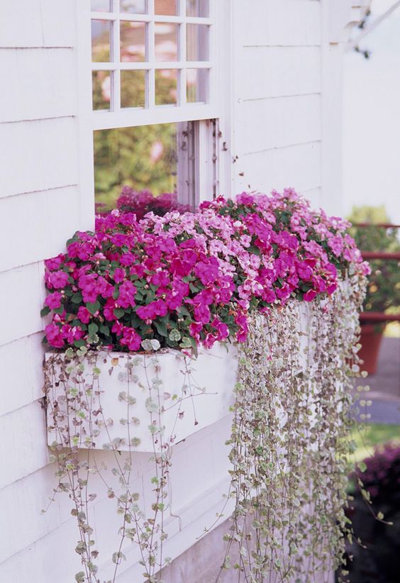 Gorgeous Window Planter Box Ideas To Dress Up Your Windows A Blissful Nest