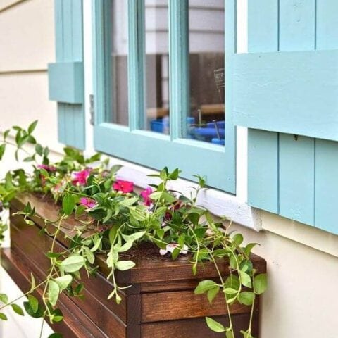 Image for Contrasting Flower Box 