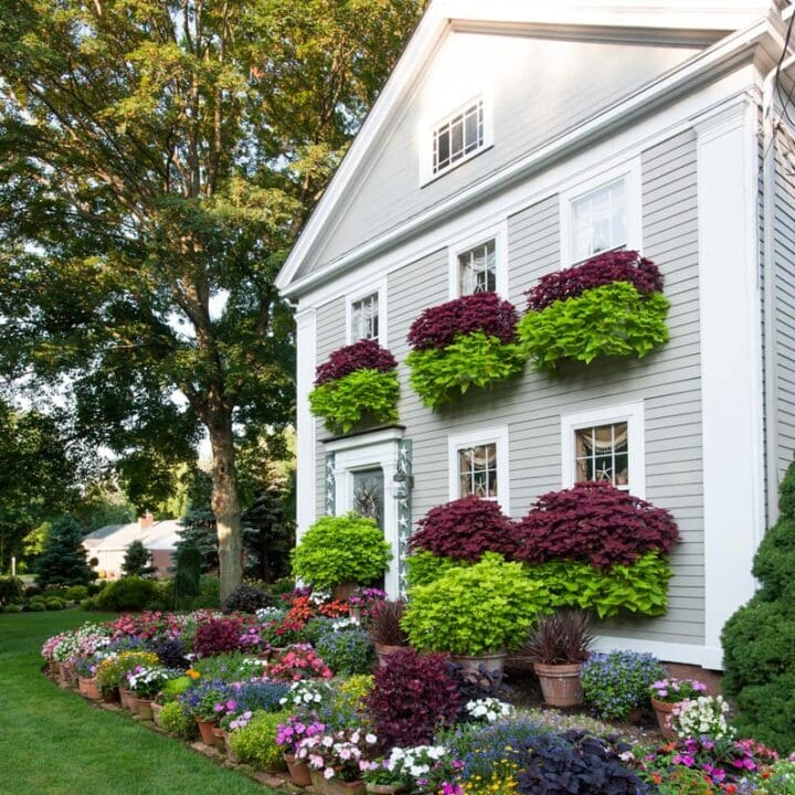 Image for Oversized Window Boxes