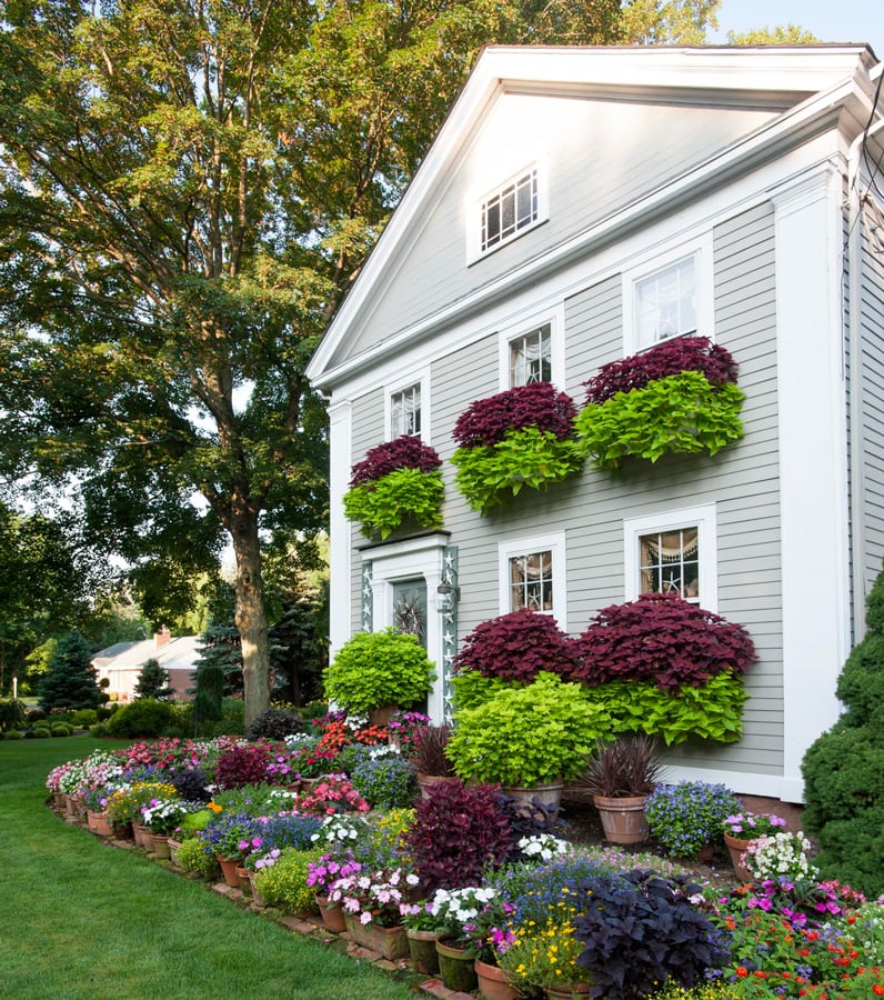 Window Planer Beautiful Window Planter Box Ideas | A Blissful Nest