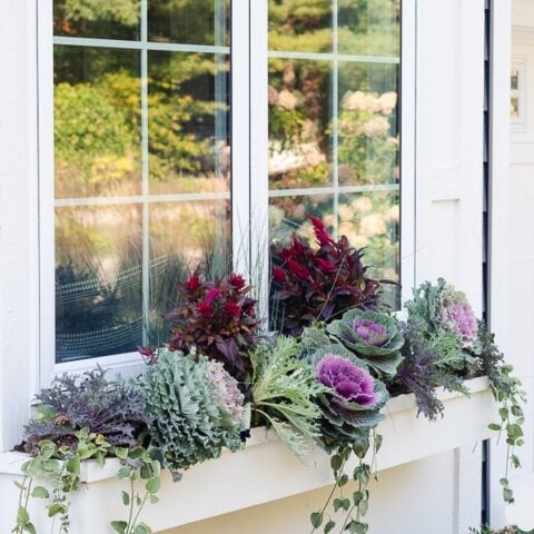 Image for Match The Trim