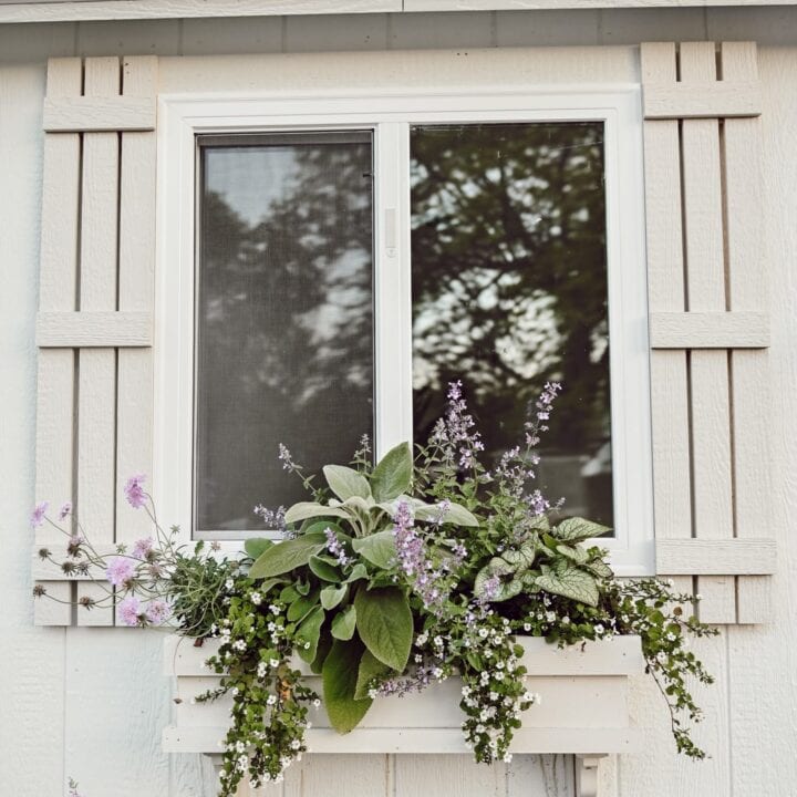Image for DIY Window Box