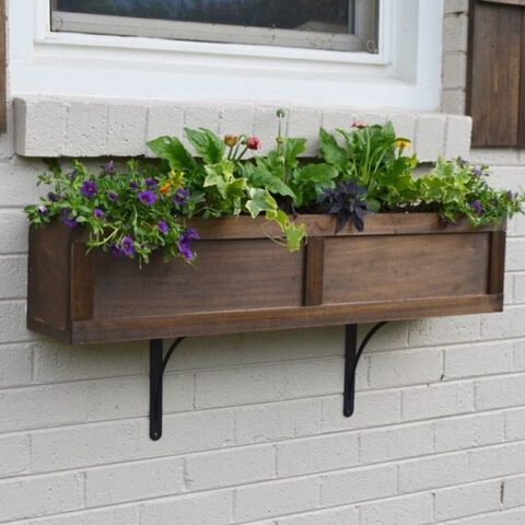 shaker-style window box filled with plants
