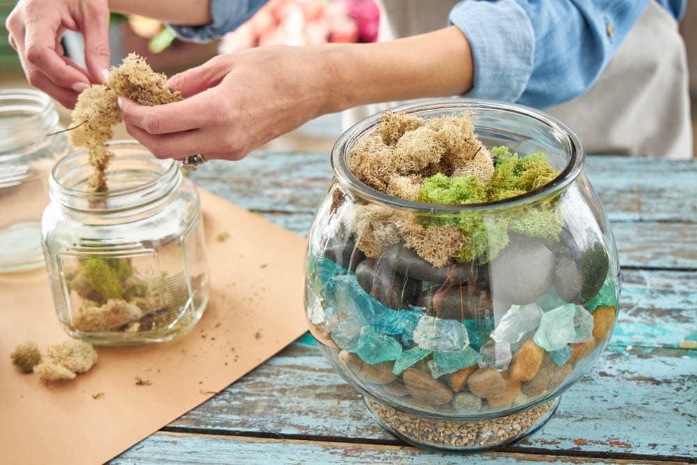 What you need to make a terrarium with supplies from @Michaelsstores . #ABlissfulNest #MakeItWithMichaels #ad #terrarium