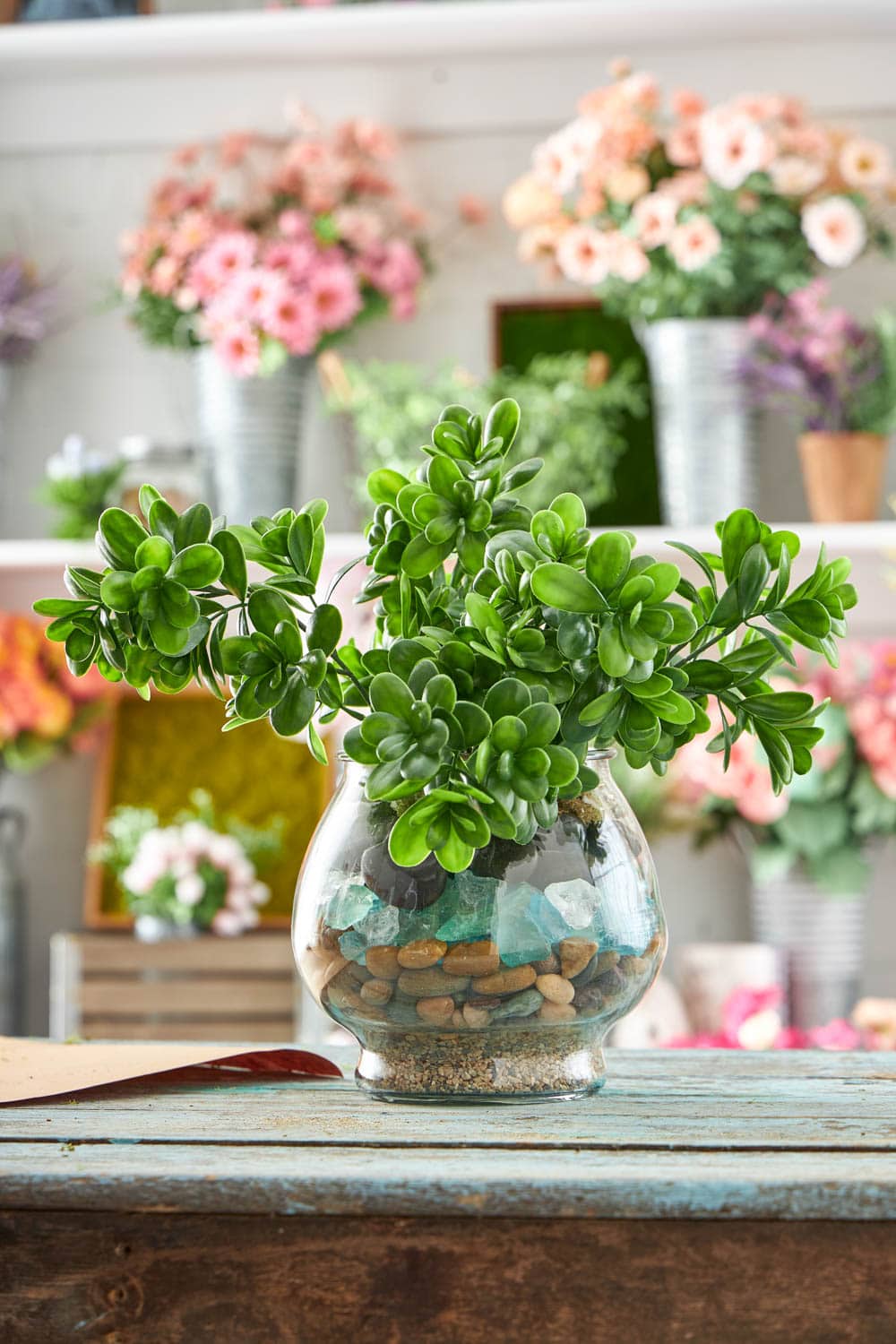 hanging terrariums