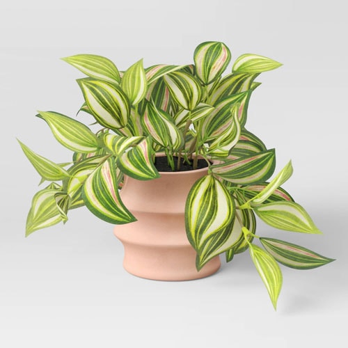 This sand glazed stoneware planter is perfect for a smaller outdoor plant! #ABlissfulNest