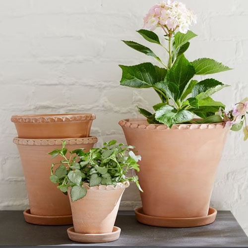 These terra cotta planters have the most fun scallop edge detailing and they are under $50 each! #ABlissfulNest