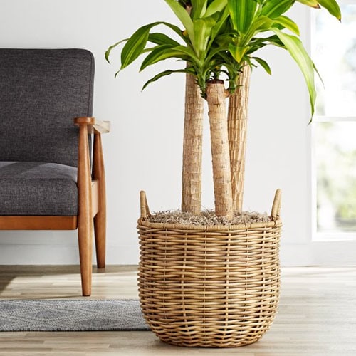 This rattan basket style planter is perfect for your patio this summer! #ABlissfulNest