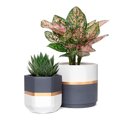 These modern geometric planters are so fun and something so different! #ABlissfulNest