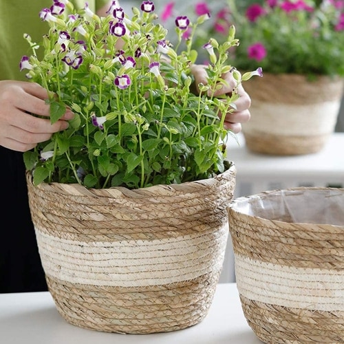 These seagrass woven planters are so pretty! #ABlissfulNest