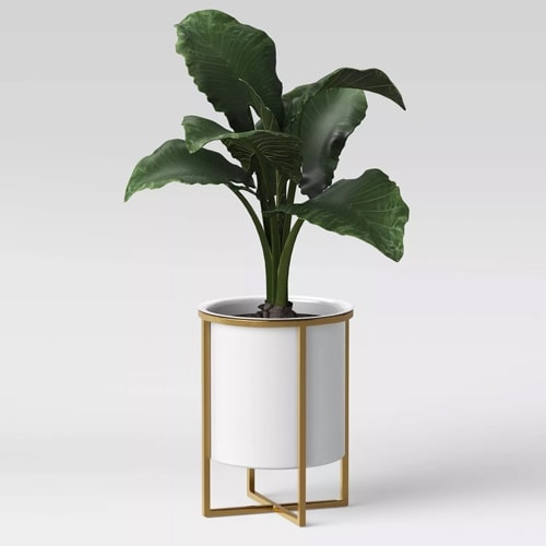 This white iron and gold brass planter is under $50! #ABlissfulNest