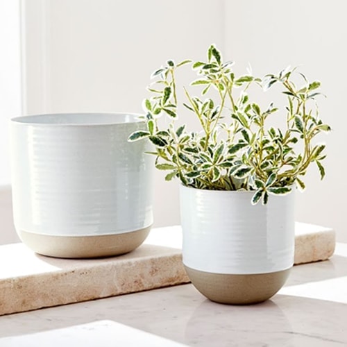 This beige stoneware planter is such a fun find for your indoor or outdoor plants! #ABlissfulNest