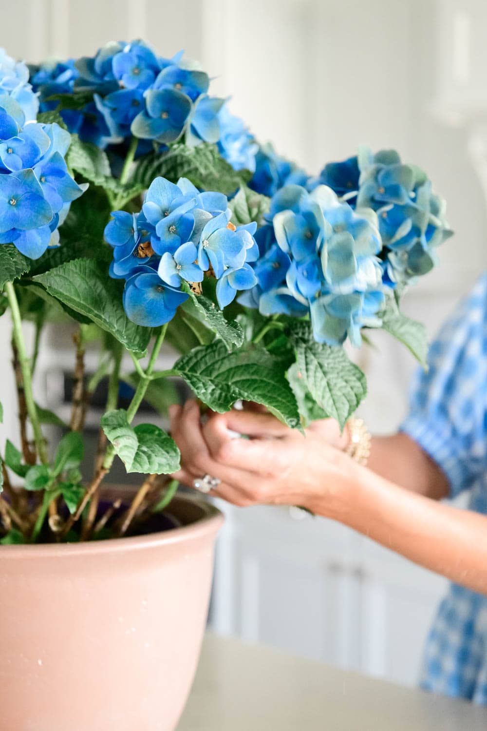 Blue hydrangea, potted plant, kitchen decor, white kitchen, kitchen style. #ABlissfulNest #whitekitchen #kitchendesign #summerkitchen