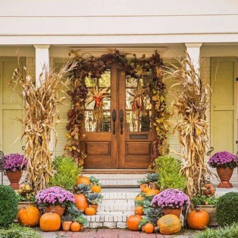 Image for Pops of Unexpected Color