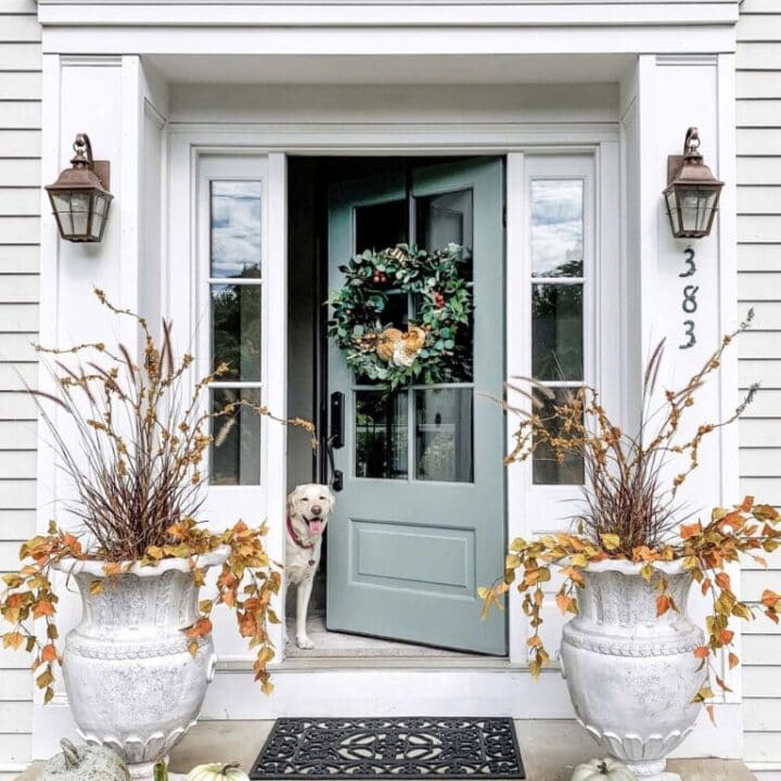 Image for Oversized Planters