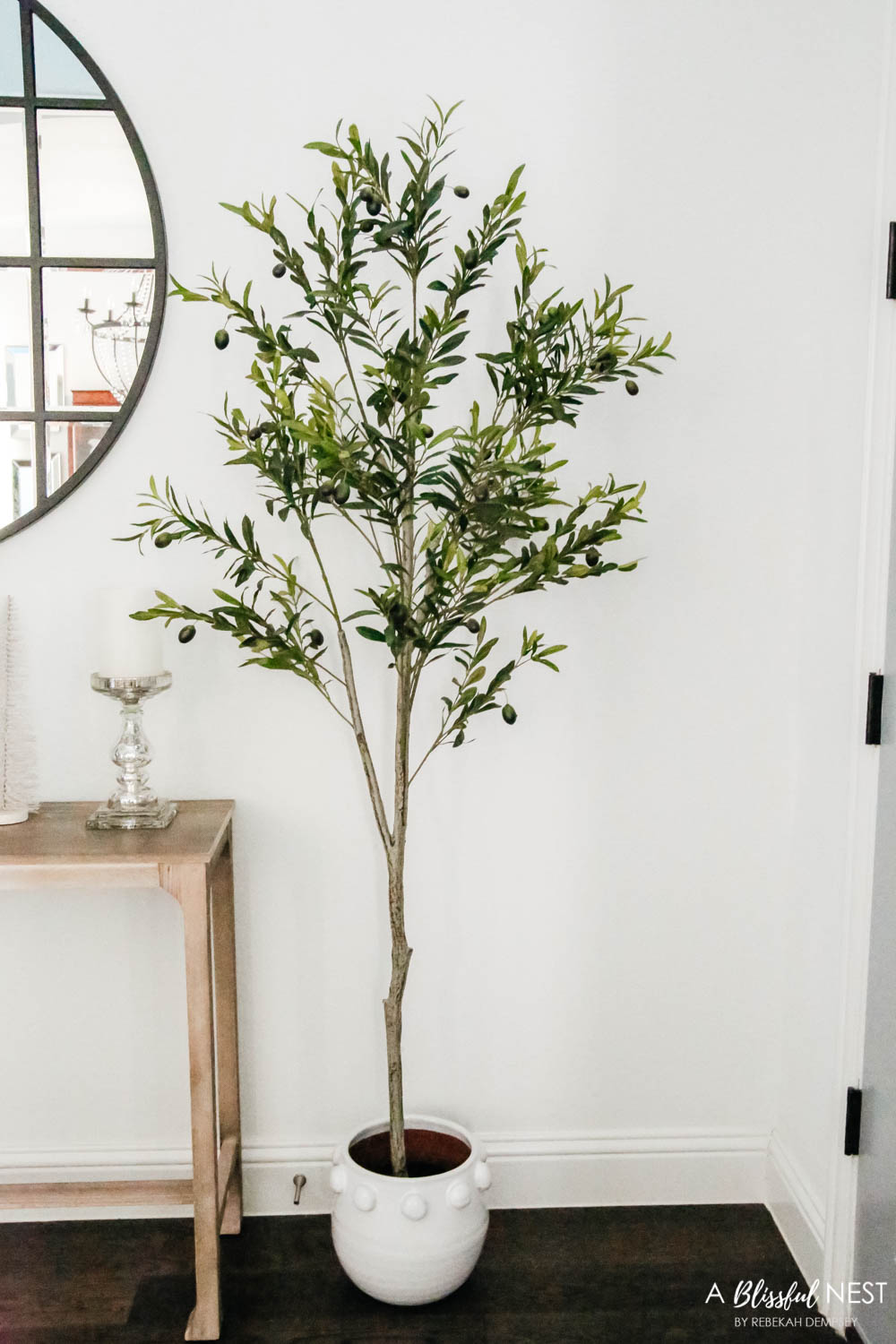 Olive branch tree in a white pot in a entryway