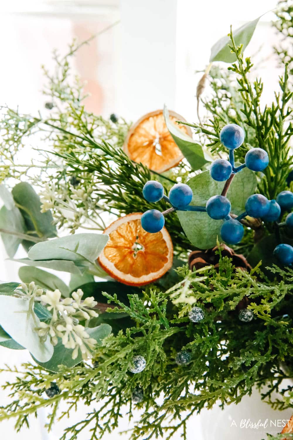 Juniper picks in a white vase with dried orange slices.