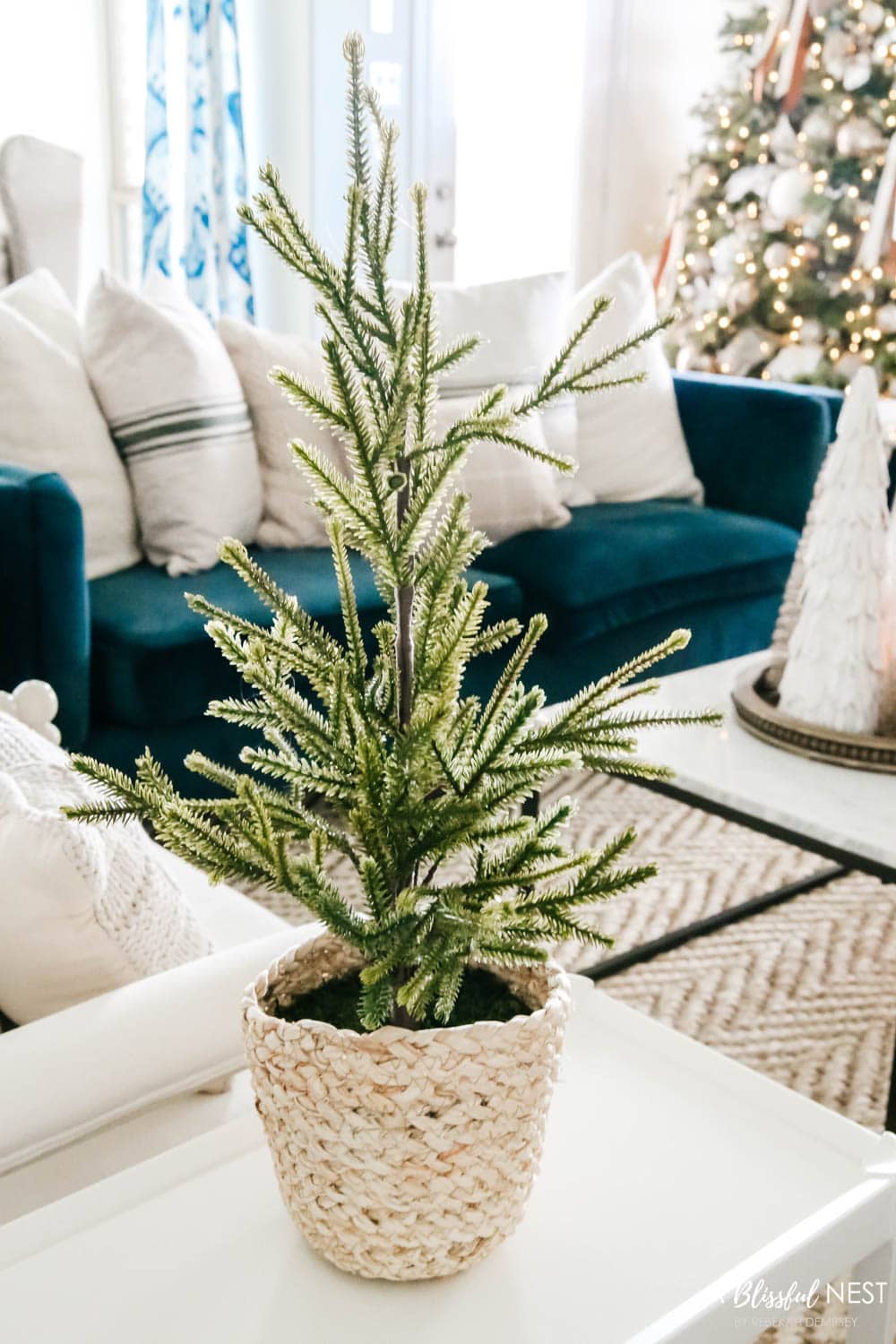 Mini tree in basket on white side table