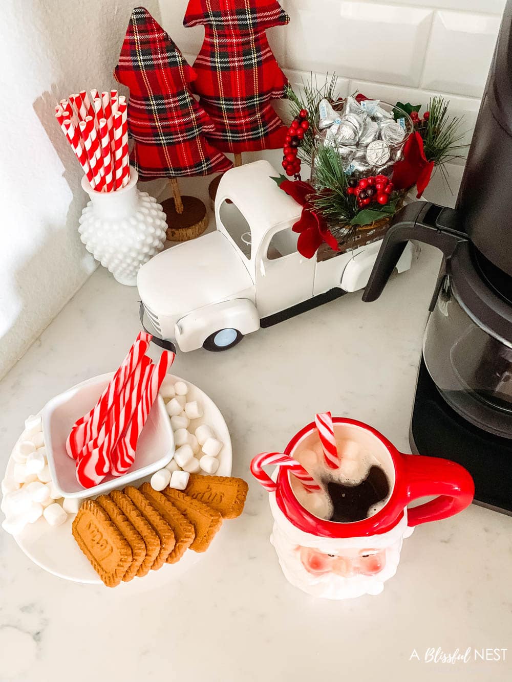 Cookies, marshmallows and peppermints sticks on a white plate for a hot cocoa station.