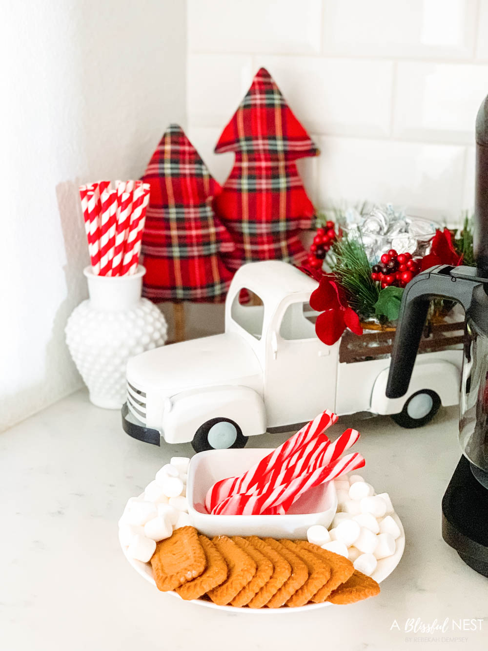 Cookies, marshmallows and peppermints sticks on a white plate for a hot cocoa station.