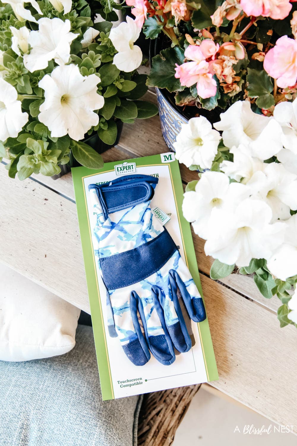 Blue and white gardening gloves next to plants to be planted
