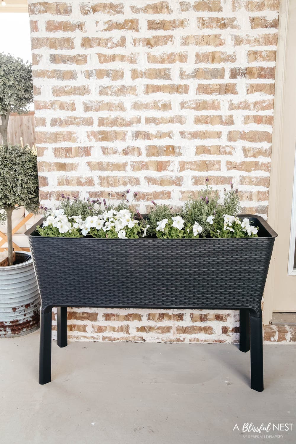 Raised planter with plants in front of a brick wall on a patio