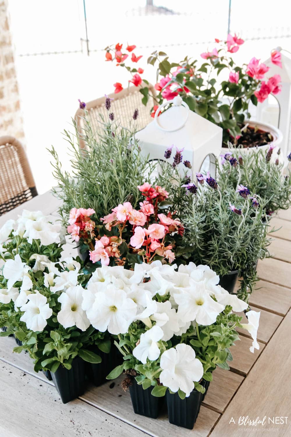 Pink, white and lavendar pants sitting on patio table.