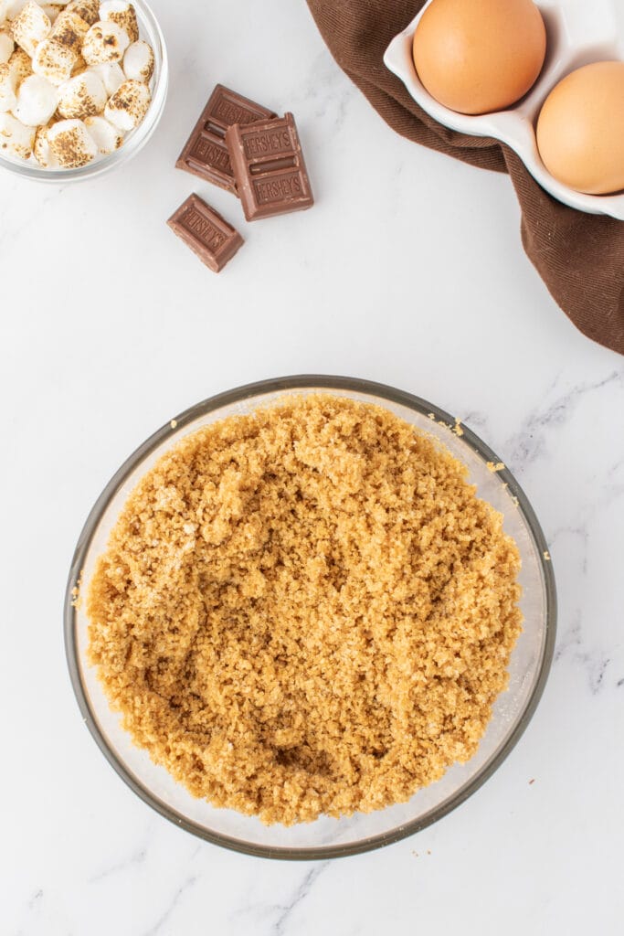 Mixed ingredients to show consistency needed for the graham cracker crust
