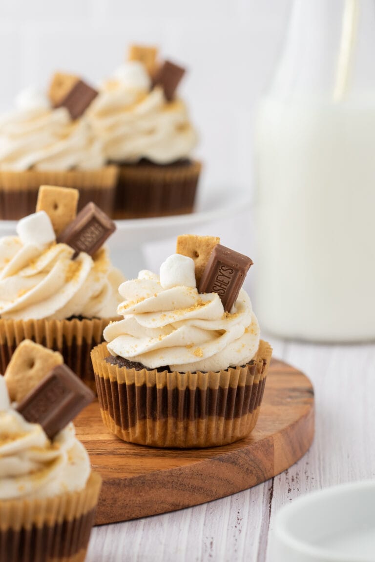 S’mores Cupcakes Everyone Will Love