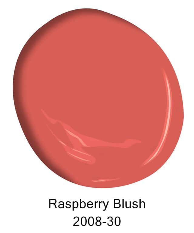 Raspberry blush paint chip
