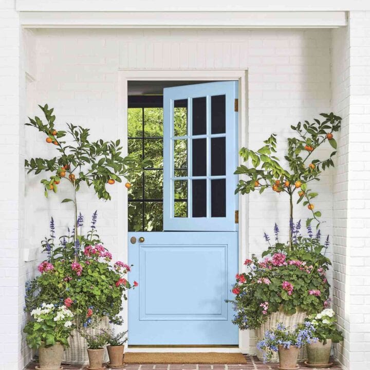 Image for Add Citrus