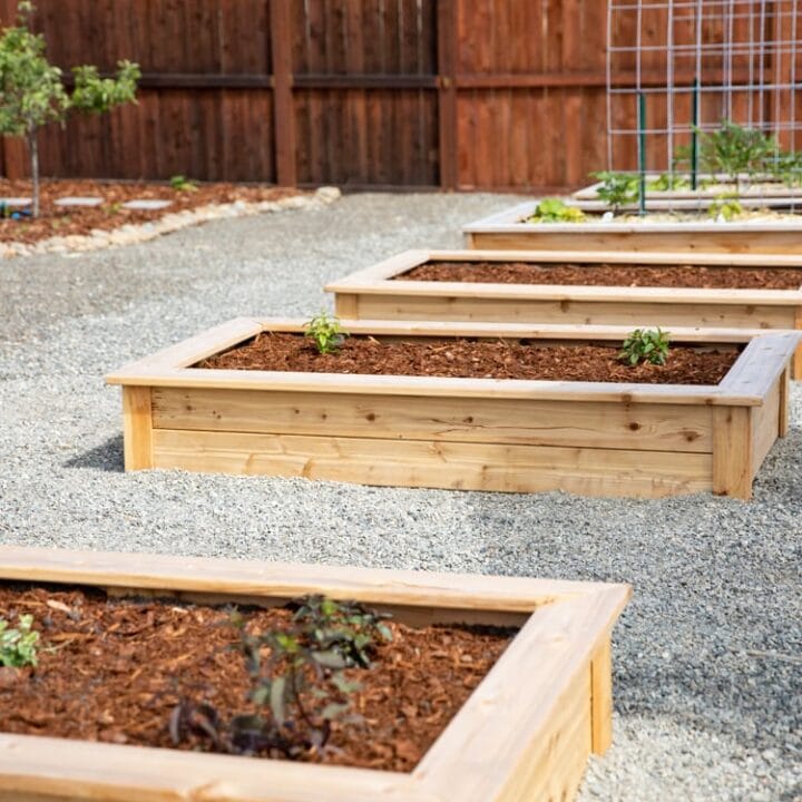 Image for Cedar Raised Garden Beds