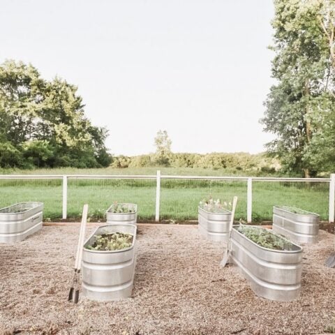 Image for Small Raised Garden Beds