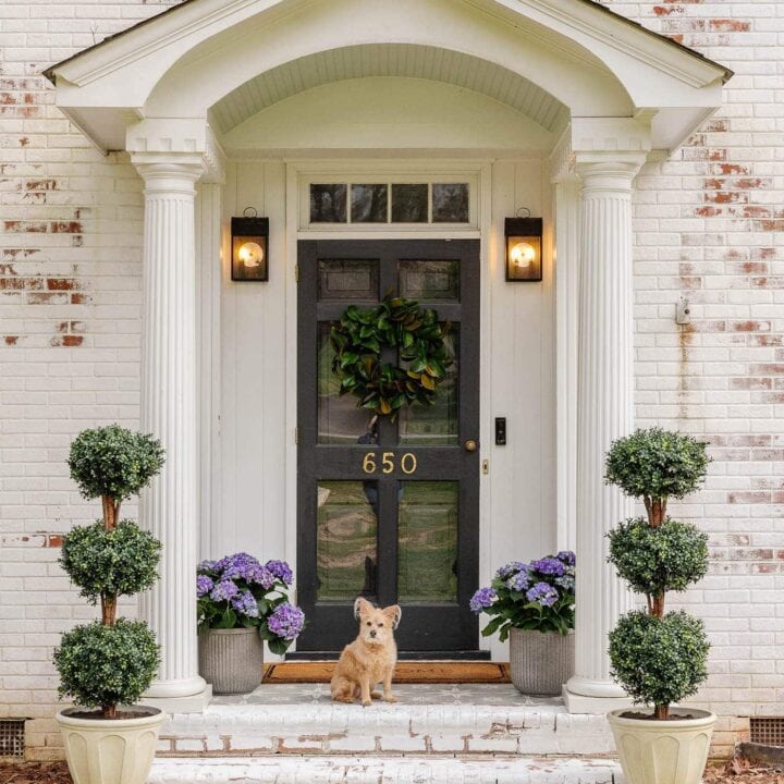 Image for Beautiful Hydrangeas