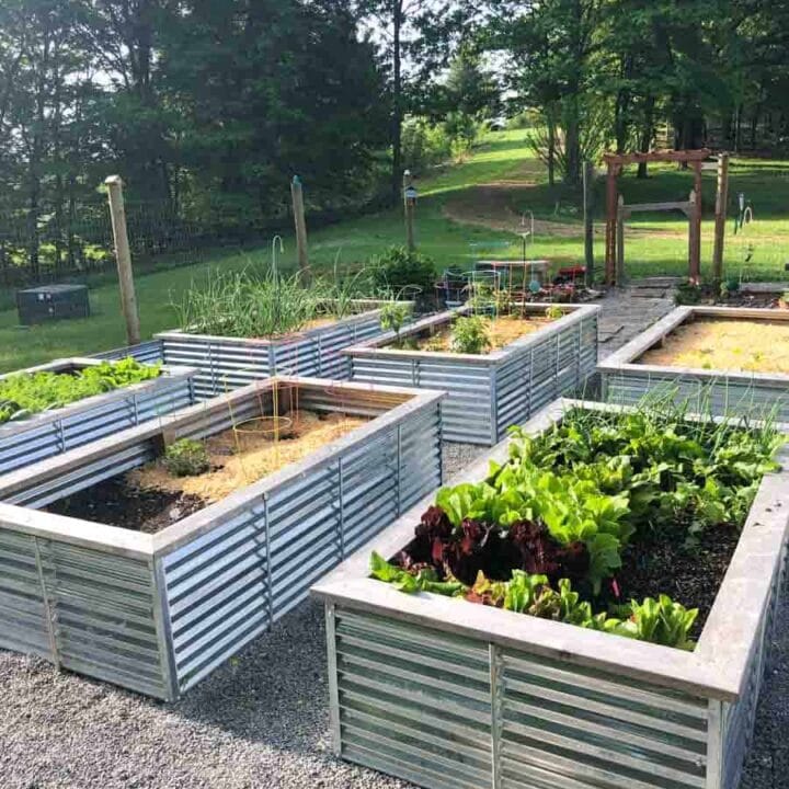 Image for Galvanized Raised Garden Beds