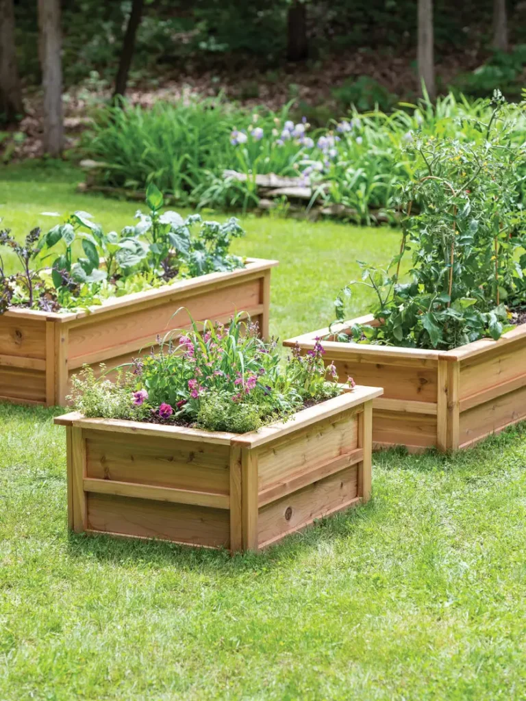 Set of 3 different sized wood raised garden beds with flowers and vegetables planted.