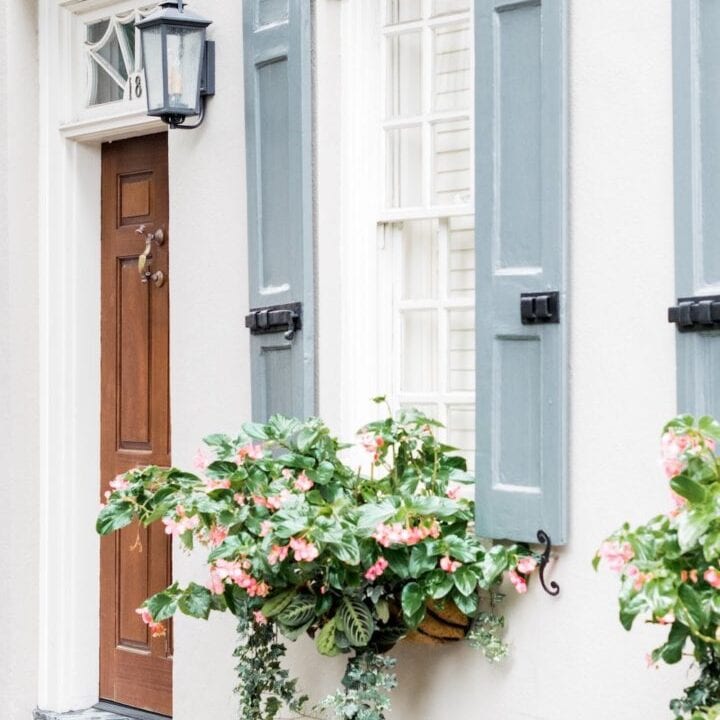 Image for Dramatic Sweeping Vines