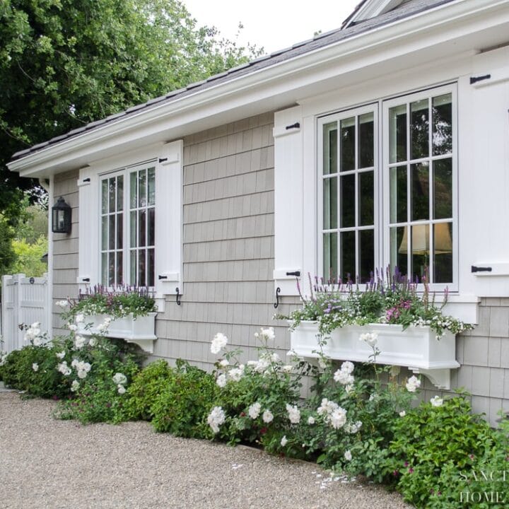 Image for Pop Of Color