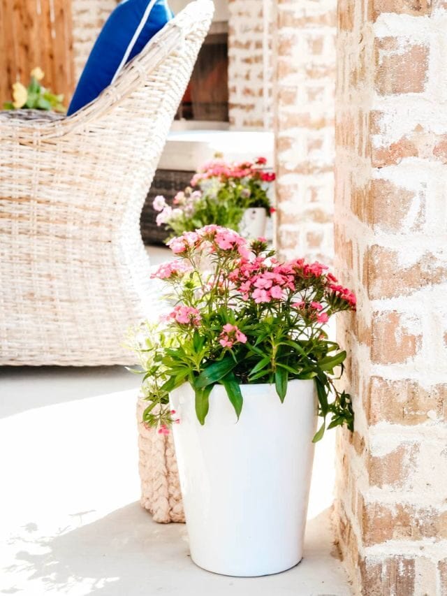 Budget-Friendly Spring Patio Ideas Story