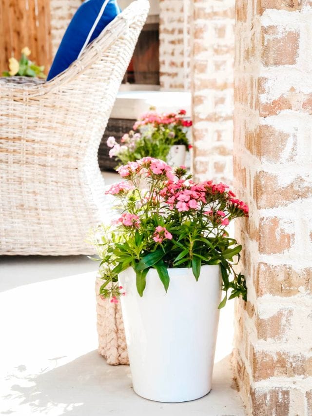 budget-friendly-spring-patio-ideas-Web- Stories Cover Image