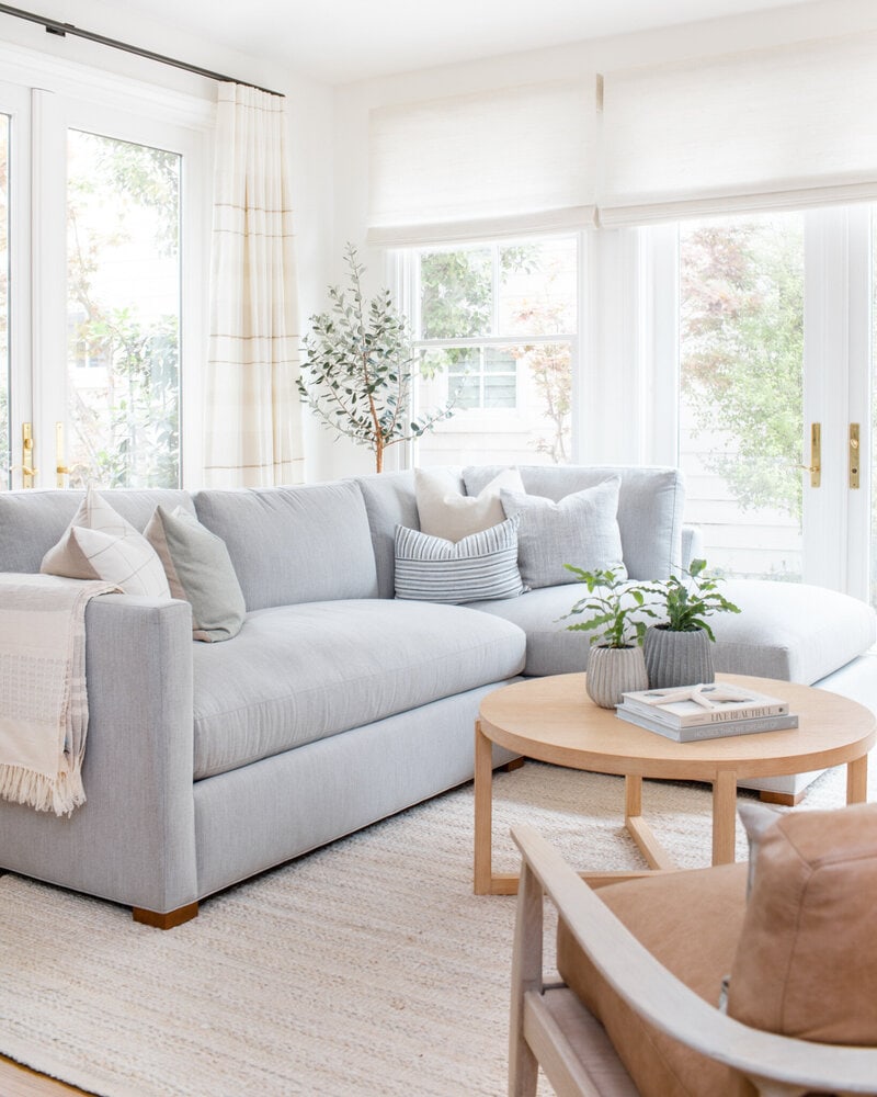 coastal looking neutral living room with a creamy white paint color on the walls, soft blue sofa, leather chair and olive tree in the corner of the room