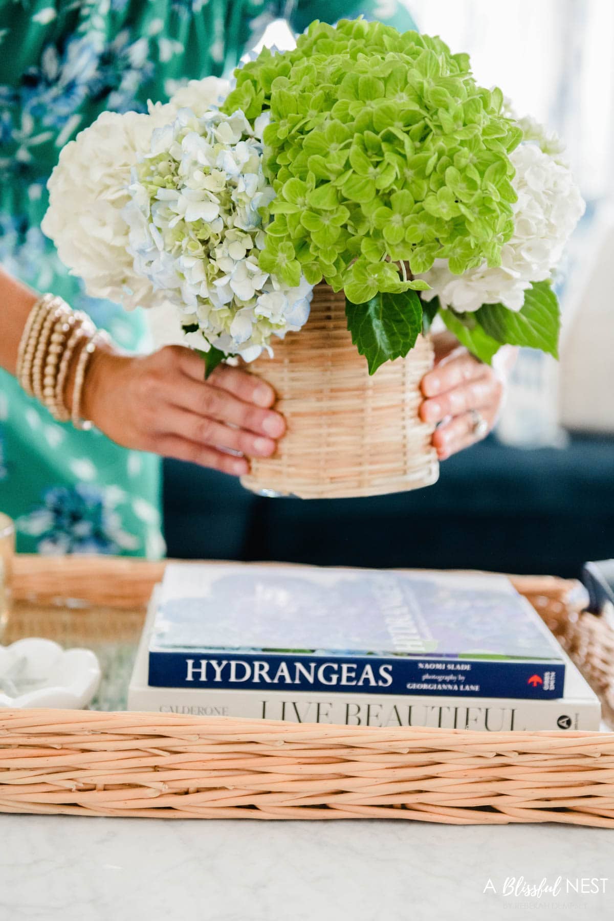 rattan vase of lime green hydrangeas being placed on a coffee table.