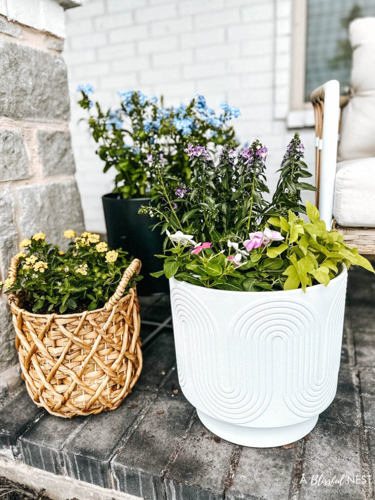 cluster of planters on a porch