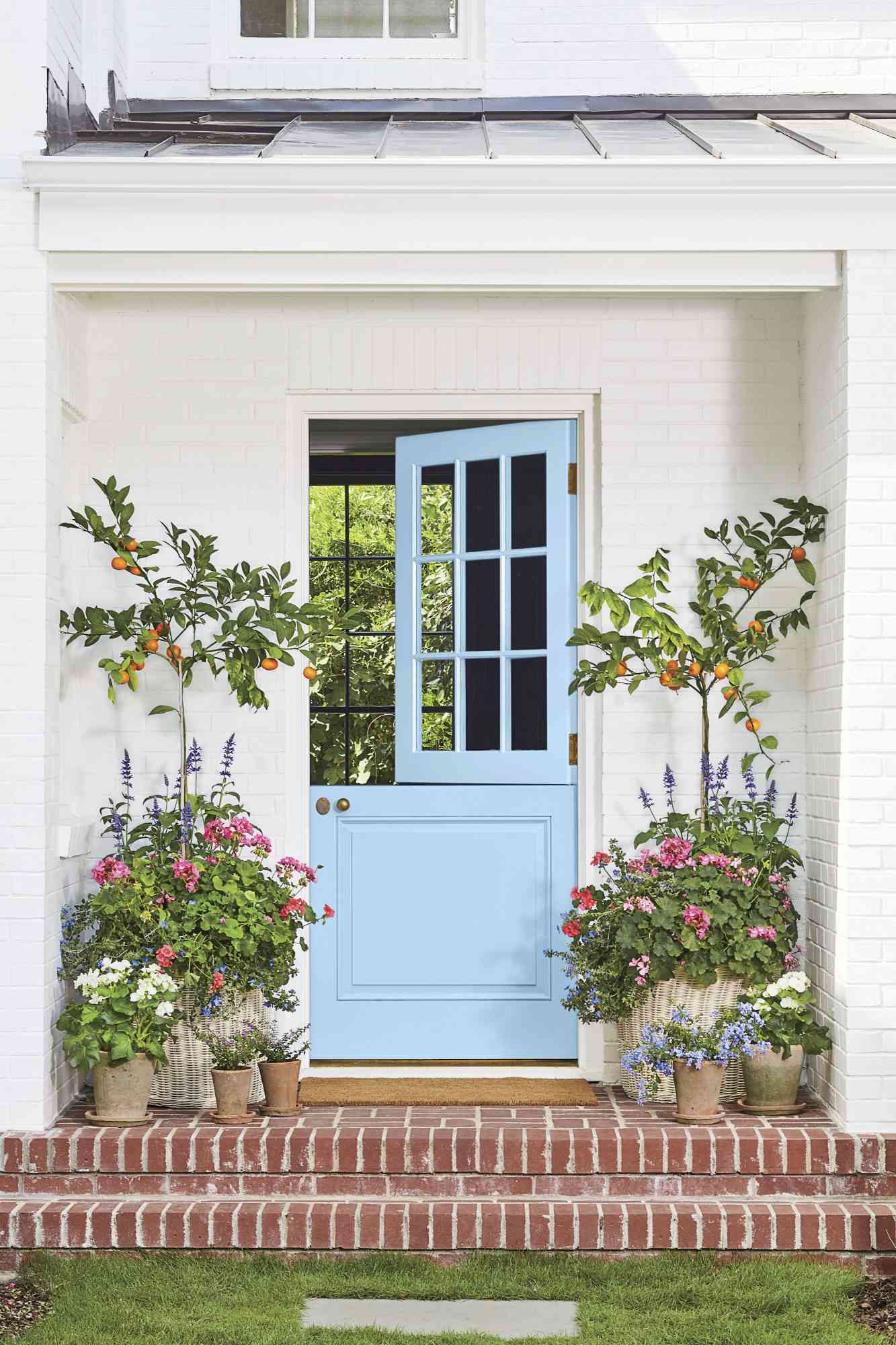 Bright blue painted door with potted pants on either side