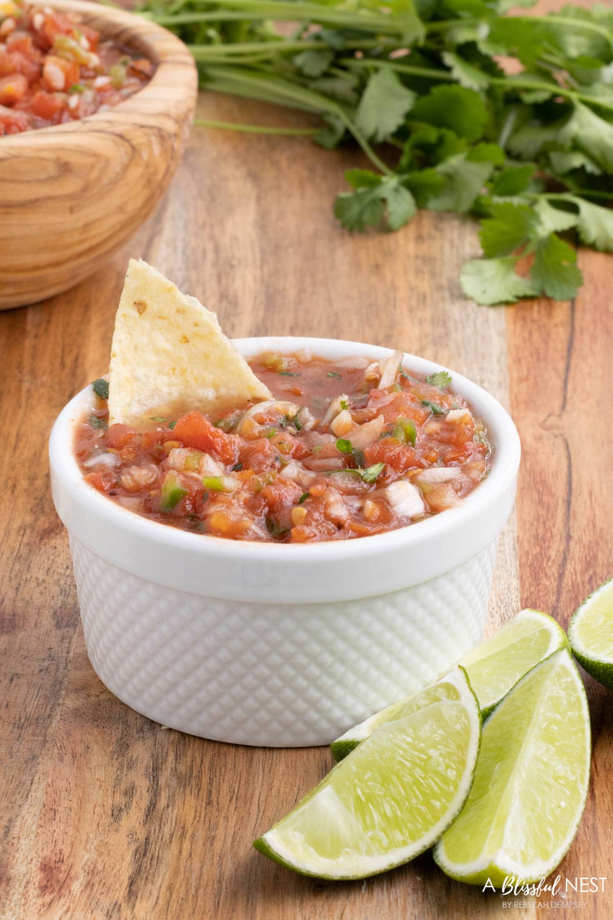 salsa in a white bowl with cut limes next to it