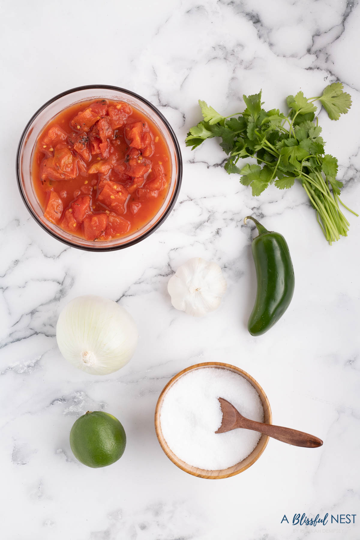 only 6 ingredients for this salsa